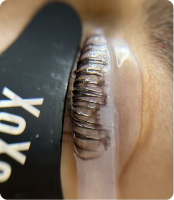 lash_lifting_barveni2