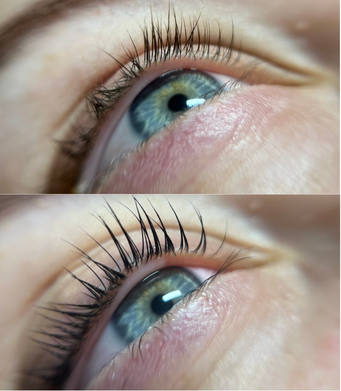 lash_lifting_barveni5